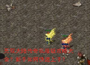 ��˫��½����˽���湥�Դ�ȫ��������ο������֣�