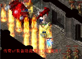 ����sfװ������������μ��