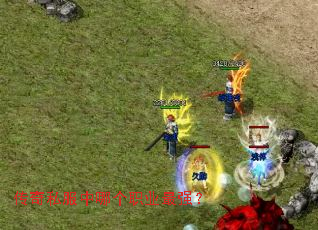 ����˽�����ĸ�ְҵ��ǿ��