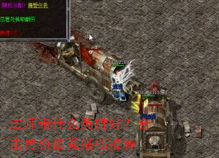 ��ʦ��ʲôӢ�ۺã��ϻ�������ǿ��Ƽ�