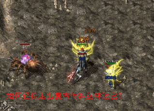 如何轻松走出复古传神丛林迷宫? 如何轻松走出复古传神丛林迷宫?