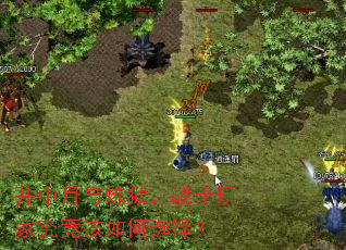 井中月与炼狱,战士玩家究竟该如何选择? 井中月与炼狱,战士玩家究竟该如何选择?