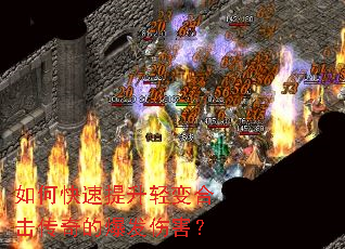 ��ο����������ϻ�����ı����˺���