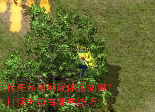 ����˽����Ϸ������Σ������������Щ���ɣ�