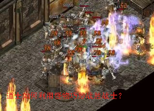 ��ʿ������ù�������սʤսʿ��