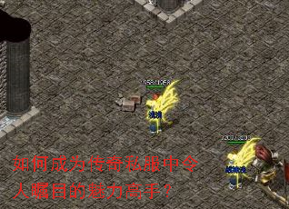 如何成为传奇私服中令人瞩目的魅力高手? 如何成为传奇私服中令人瞩目的魅力高手?