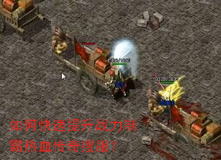 ��ο�������ս���ư���Ѫ�����ѷ���