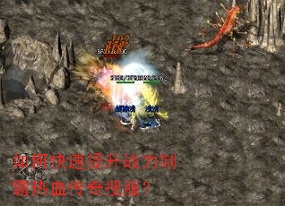 ��ο�������ս���ư���Ѫ�����ѷ���