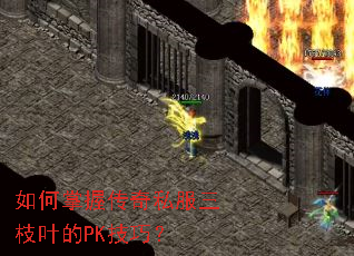 如何掌握传奇私服三枝叶的PK技巧? 如何掌握传奇私服三枝叶的PK技巧?