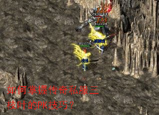 如何掌握传奇私服三枝叶的PK技巧? 如何掌握传奇私服三枝叶的PK技巧?