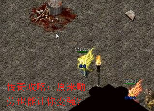 传奇攻略:原来勤劳也能让你变强? 传奇攻略:原来勤劳也能让你变强?