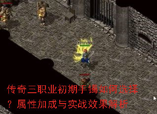 ������ְҵ�����������ѡ�����Լӳ���ʵսЧ������