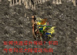 ��ο��������ȼ������ɴ����귨��½��սָ��