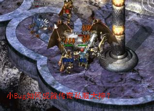 СBug��γɾʹ���˽������