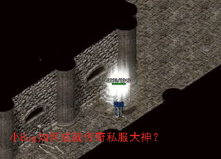 СBug��γɾʹ���˽������