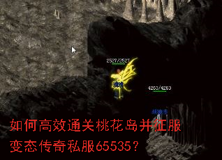 ��θ�Чͨ���һ�����������̬����˽��65535��