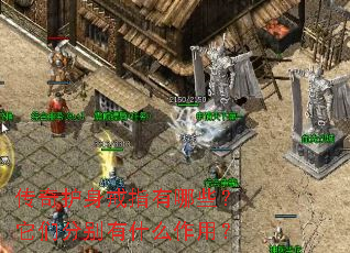 ���滤����ָ����Щ�����Ƿֱ���ʲô���ã�