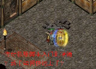 ����˽���ű����ŵ���ͨ��������ο������֣�