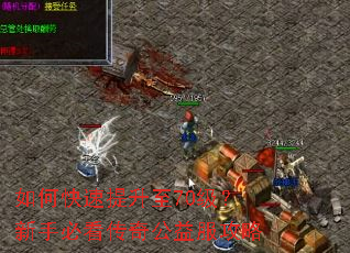 ��ο���������70�������ֱؿ����湫�������