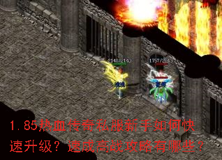 1.85��Ѫ����˽��������ο����������ٳɸ�ս��������Щ��