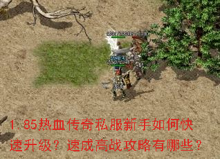 1.85��Ѫ����˽��������ο����������ٳɸ�ս��������Щ��