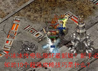 С��������˽��SF���°棿���ֱ�֪��10����ǿ���Լ�����ʲô��