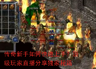 ����������ο������֣��������ֱ�����������ؼ�