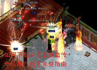 ������ز���װ��Ѫ����˽������������ָ��