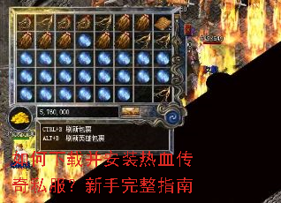 ������ز���װ��Ѫ����˽������������ָ��