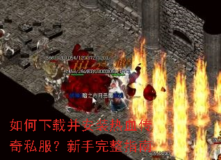 ������ز���װ��Ѫ����˽������������ָ��