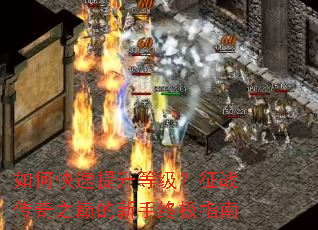 ��ο��������ȼ�����ս����֮�۵������ռ�ָ��