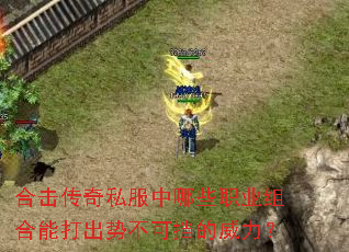 �ϻ�����˽������Щְҵ����ܴ���Ʋ��ɵ���������