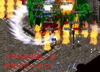 ����˽�����ѣ���ο�������ս����