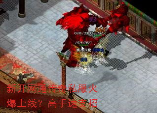 新开网通传奇私服火爆上线?高手速支招 新开网通传奇私服火爆上线?高手速支招