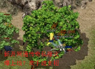 新开网通传奇私服火爆上线?高手速支招 新开网通传奇私服火爆上线?高手速支招