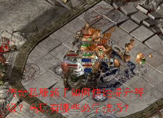 ����˽��������ο��������ȼ�����������Щ��ѧ���ɣ�