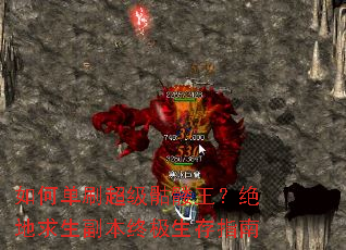 ��ε�ˢ�������������������������ռ�����ָ��