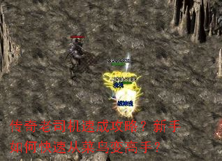 ������˾���ٳɹ��ԣ�������ο��ٴӲ������֣�