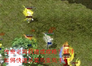 ������˾���ٳɹ��ԣ�������ο��ٴӲ������֣�