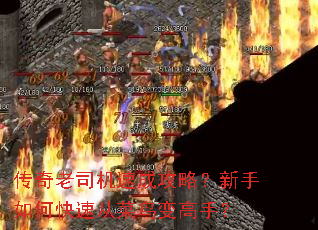 ������˾���ٳɹ��ԣ�������ο��ٴӲ������֣�