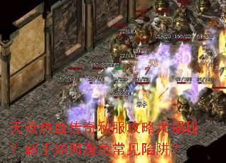 ������Ѫ����˽�����Դ���أ�������α��ⳣ�����壿