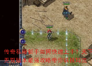 ����˽��������ο������֣�������˫�汾��ǿ���Դ����ݺ��귨