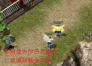 ��γ�Ϊɳ�Ϳ˰�����������ʤȫ����