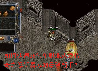 ��ο��ٳ�Ϊ��ְҵ��������֮ŭնħ�����ǿ���֣�