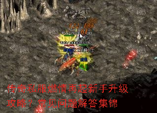 传奇私服燃情再起新手升级攻略?常见问题解答集锦 传奇私服燃情再起新手升级攻略?常见问题解答集锦