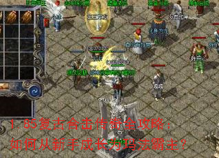 1.85复古合击传奇全攻略:如何从新手成长为玛法霸主? 1.85复古合击传奇全攻略:如何从新手成长为玛法霸主?