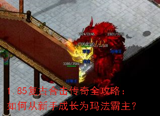 1.85���źϻ�����ȫ���ԣ���δ����ֳɳ�Ϊ�귨������