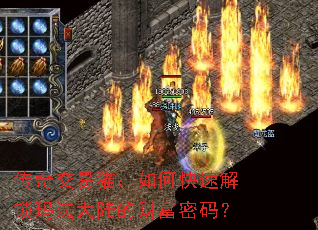 ���潻��è����ο��ٽ����귨��½�ĲƸ����룿