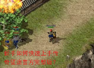 新手如何快速上手传奇征途官方完整版? 新手如何快速上手传奇征途官方完整版?