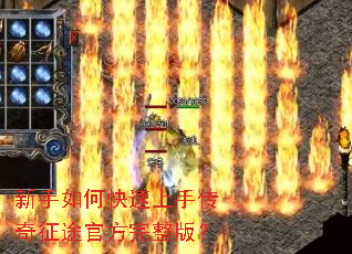 ������ο������ִ�����;�ٷ������棿